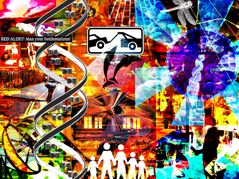 36. November 24, 2004