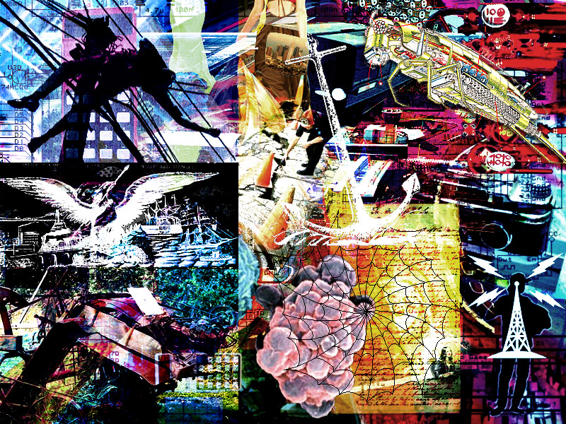 81. January 15, 2005