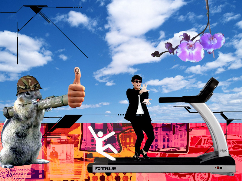 337. January 5, 2013