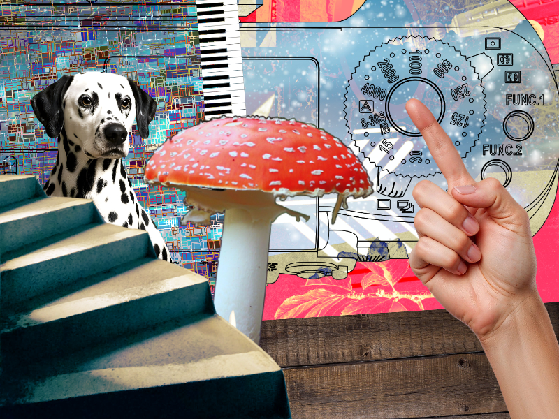 423. September 22, 2025