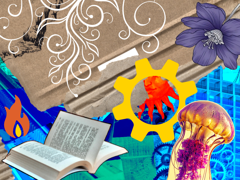 426. January 30, 2026